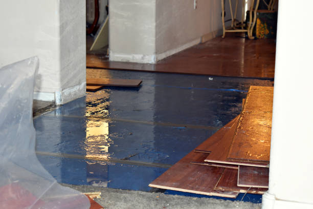 Professional Water Extraction technician working in Roanoke, IL